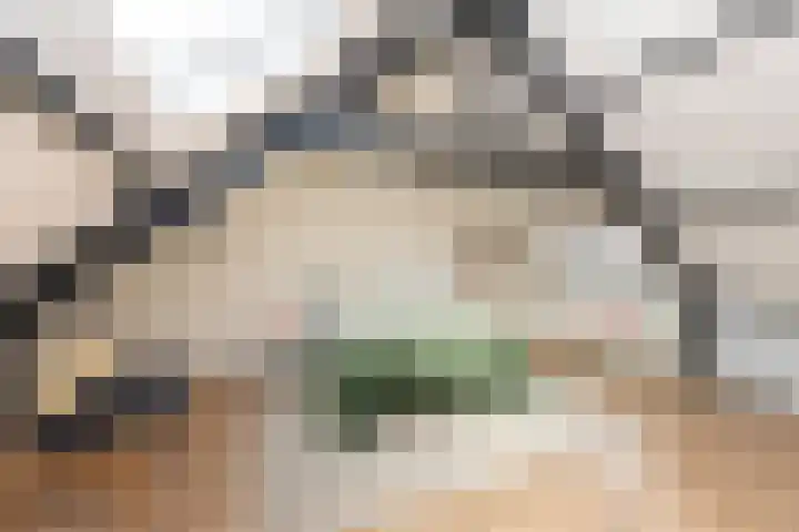 Olivier van Noortstraat 4 c Tilburg thumbnail 31