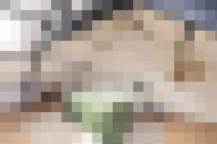 Olivier van Noortstraat 4 c Tilburg thumbnail 32