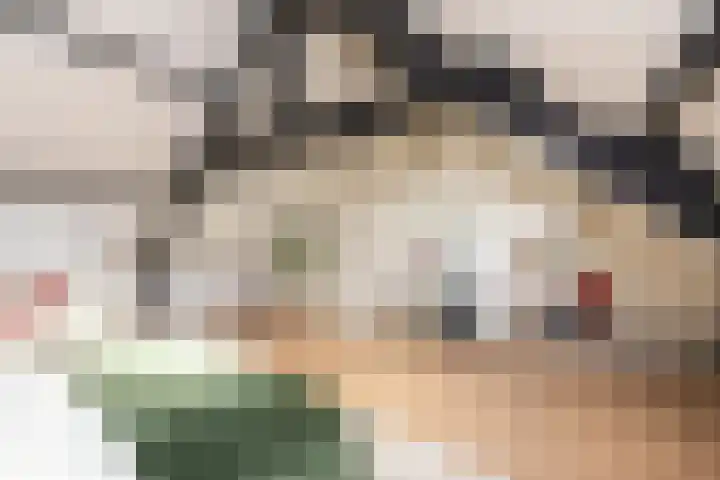 Olivier van Noortstraat 4 c Tilburg thumbnail 33
