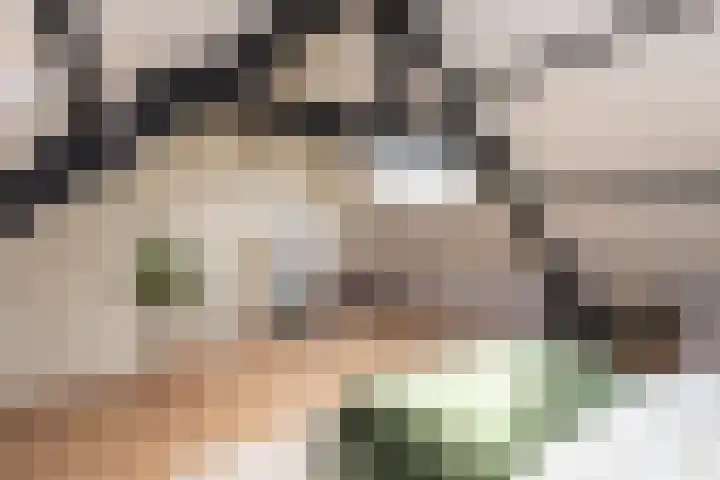 Olivier van Noortstraat 4 c Tilburg thumbnail 34
