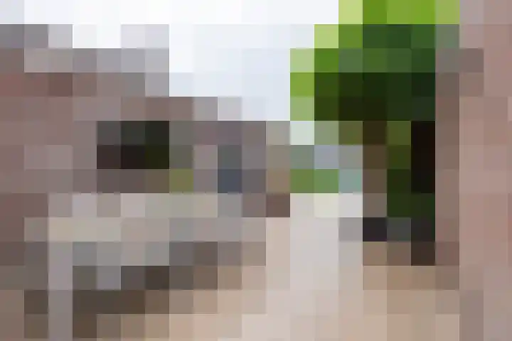 Olivier van Noortstraat 4 c Tilburg thumbnail 35