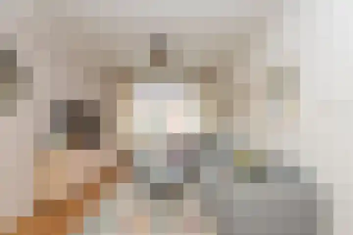 Olivier van Noortstraat 4 c Tilburg thumbnail 4