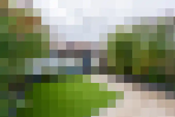 Olivier van Noortstraat 4 c Tilburg thumbnail 40