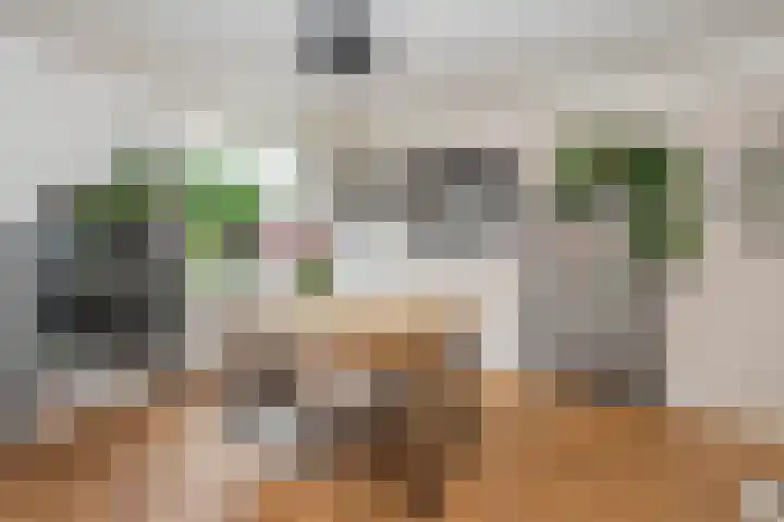 Olivier van Noortstraat 4 c Tilburg thumbnail 8