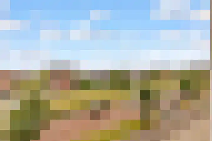 Olivier van Noortstraat 4 K Almere thumbnail 13