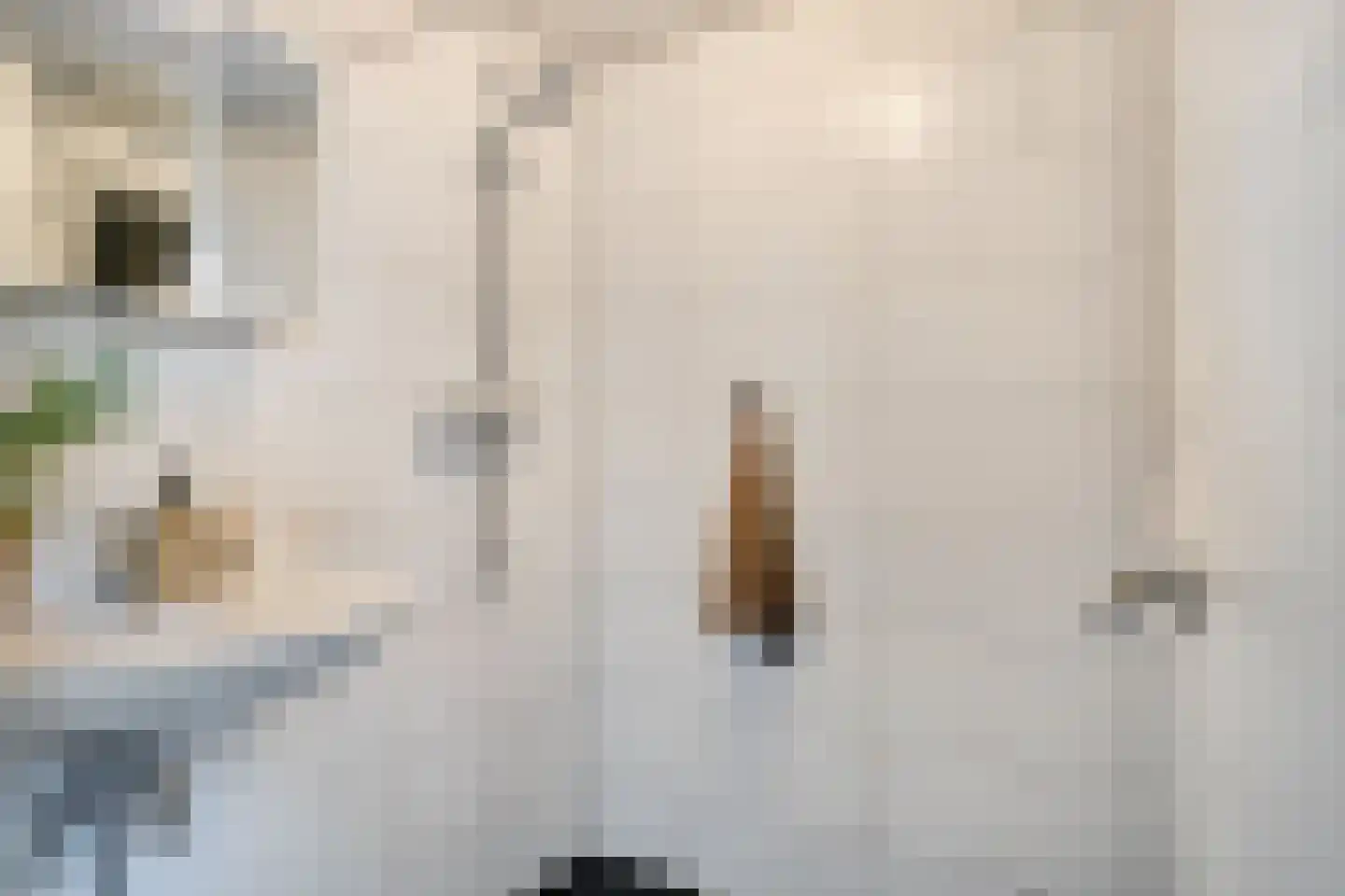 Olivier van Noortstraat 51 Tilburg thumbnail 15