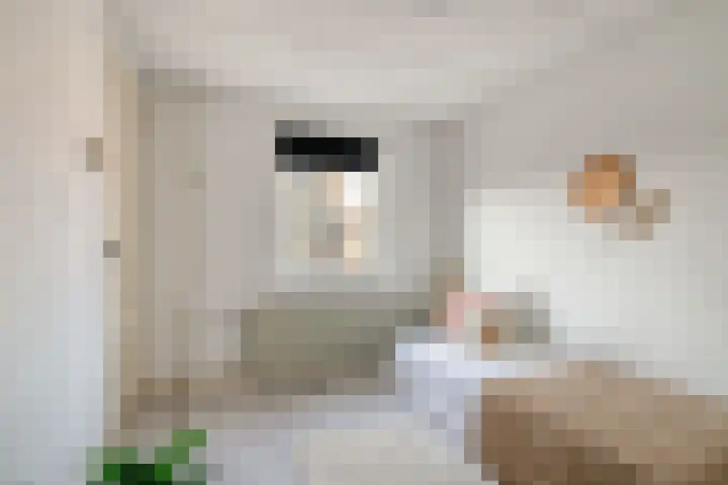 Olivier van Noortstraat 51 Tilburg thumbnail 23