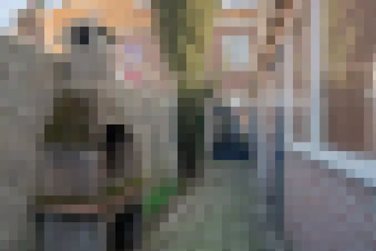 Olivier van Noortstraat 51 Tilburg thumbnail 33