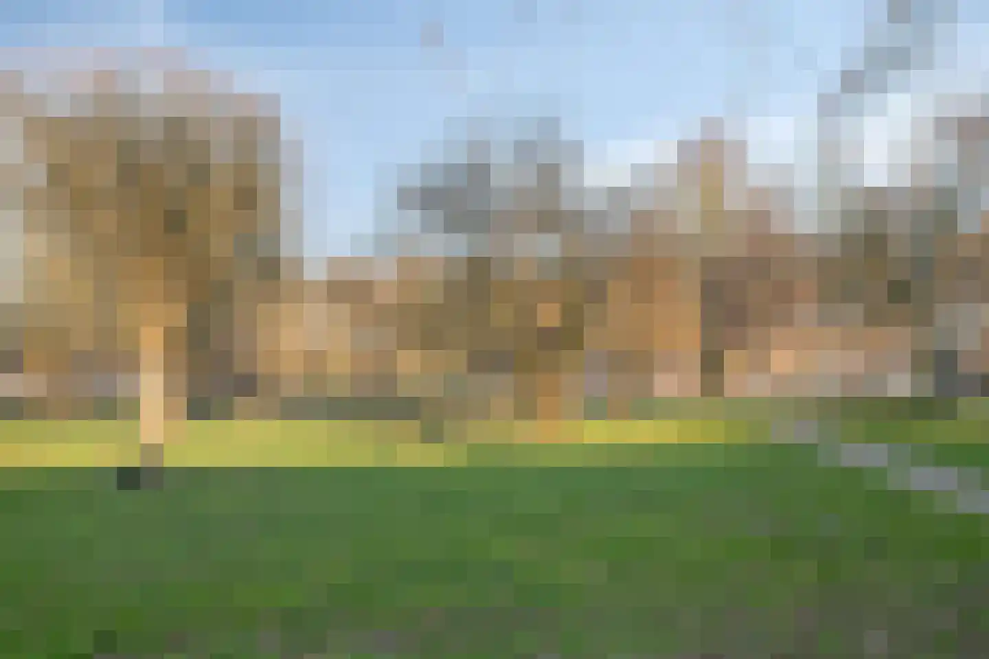 Olivier van Noortstraat 51 Tilburg thumbnail 39