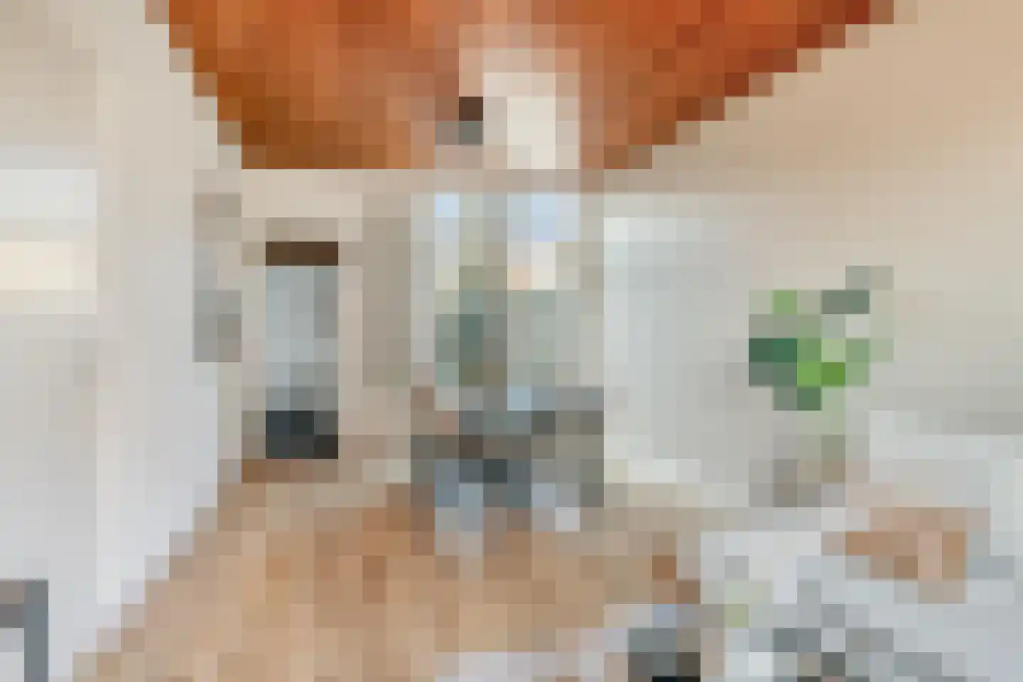 Olivier van Noortstraat 51 Tilburg thumbnail 5