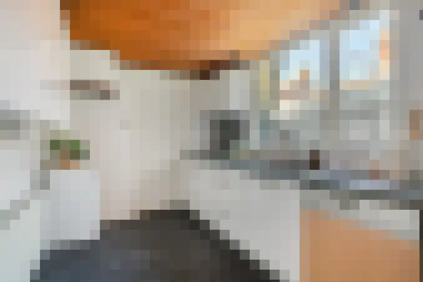 Olivier van Noortstraat 51 Tilburg thumbnail 9