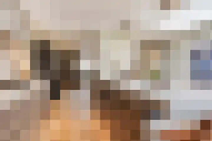Olivier van Noortstraat 60 Tilburg thumbnail 11
