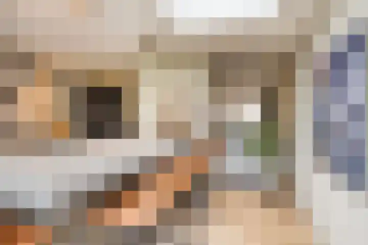 Olivier van Noortstraat 60 Tilburg thumbnail 12
