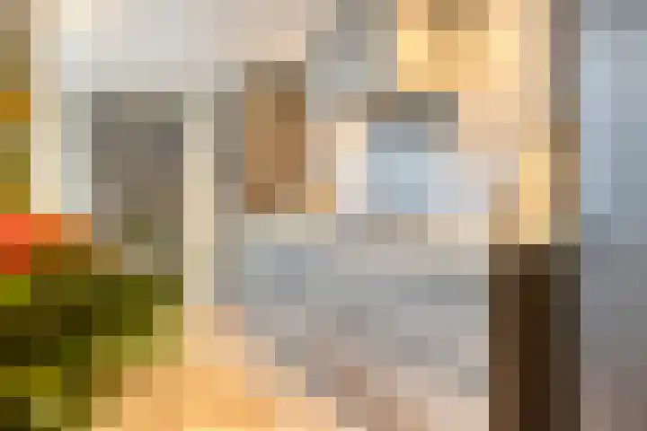 Olivier van Noortstraat 60 Tilburg thumbnail 7