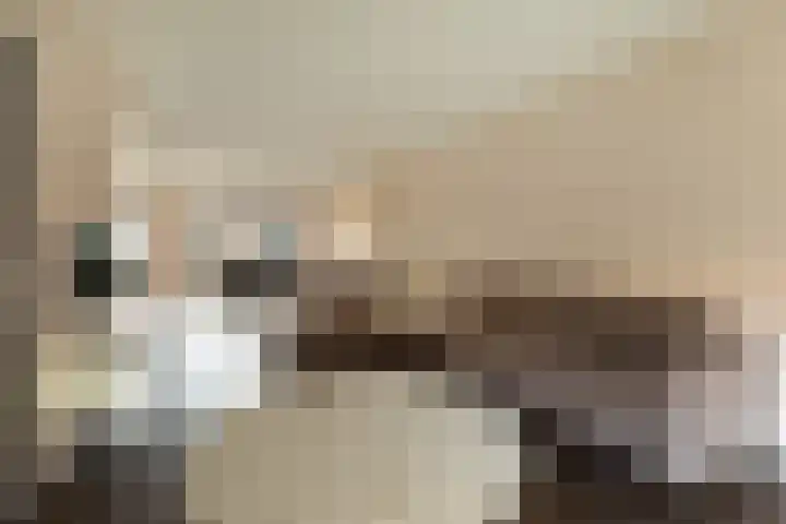 Olivier van Noortstraat 8 Hilversum thumbnail 10