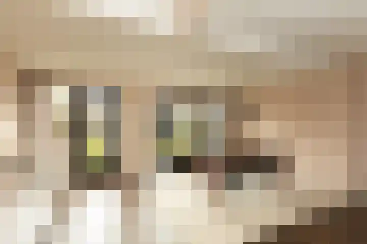 Olivier van Noortstraat 8 Hilversum thumbnail 11
