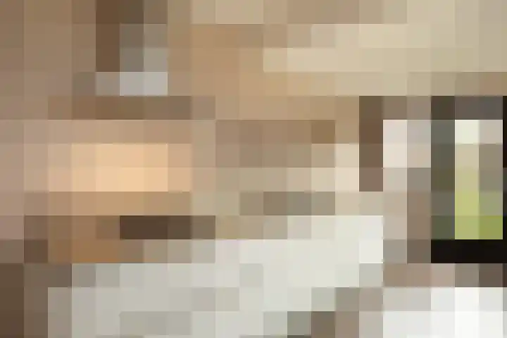 Olivier van Noortstraat 8 Hilversum thumbnail 16