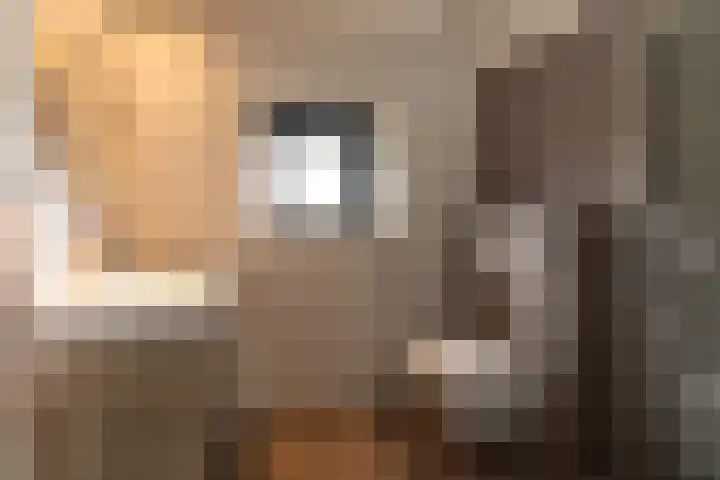 Olivier van Noortstraat 8 Hilversum thumbnail 22