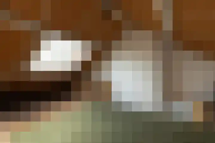 Olivier van Noortstraat 8 Hilversum thumbnail 26