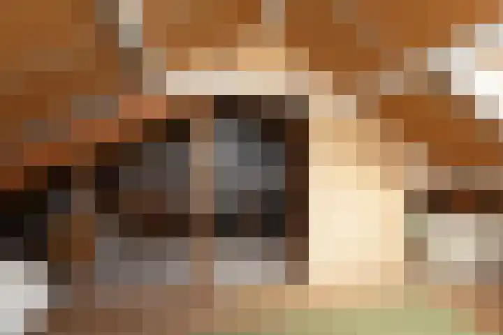 Olivier van Noortstraat 8 Hilversum thumbnail 27