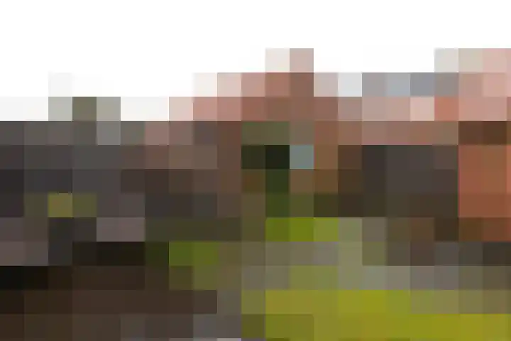 Olivier van Noortstraat 8 Hilversum thumbnail 29