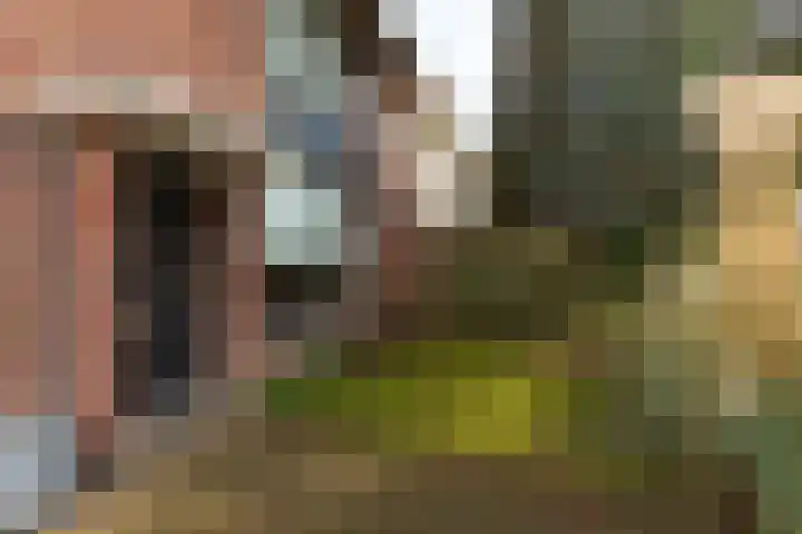 Olivier van Noortstraat 8 Hilversum thumbnail 6