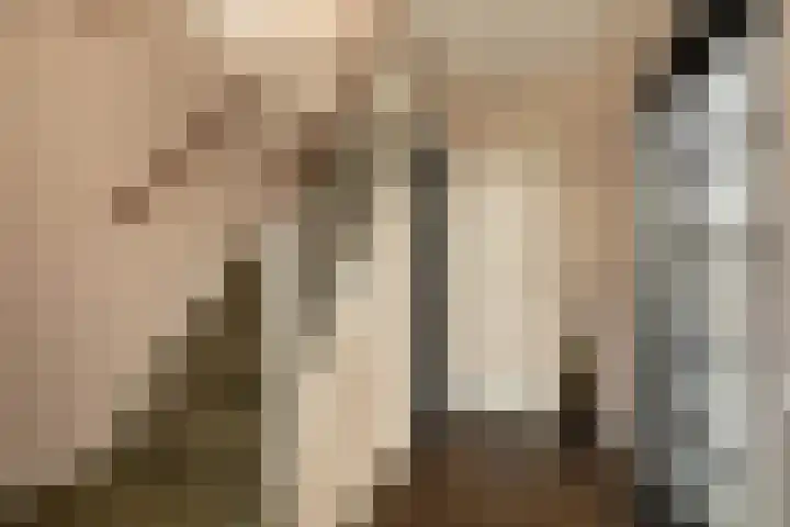 Olivier van Noortstraat 8 Hilversum thumbnail 7