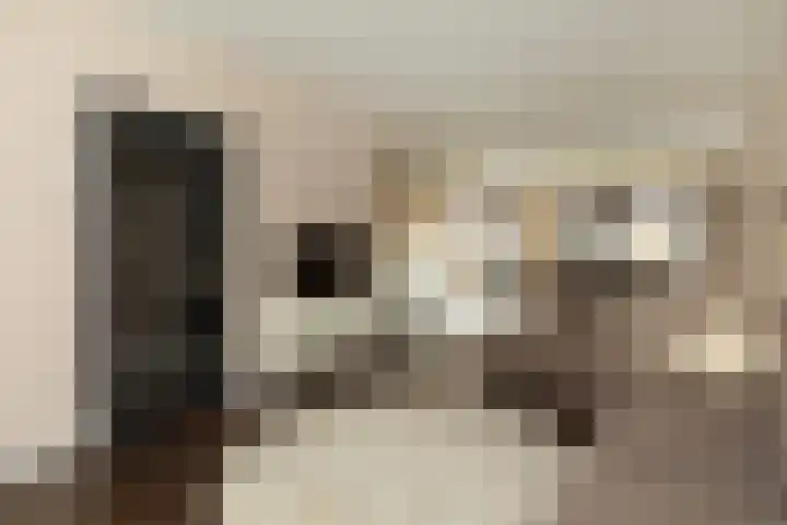 Olivier van Noortstraat 8 Hilversum thumbnail 9