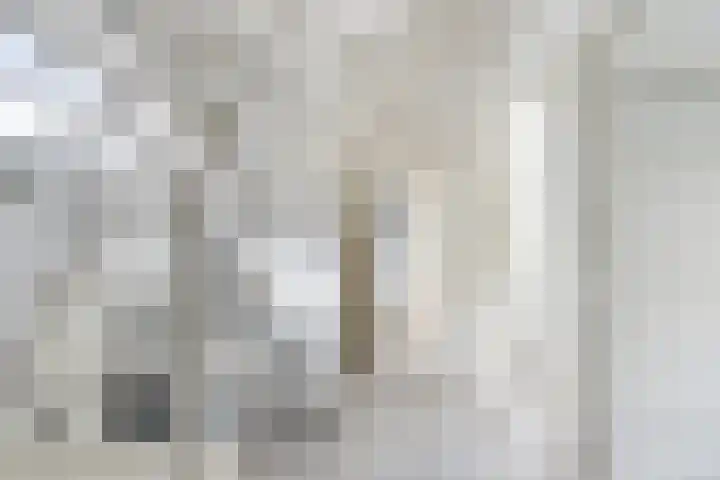 Olivier van Noortstraat 9 C Rotterdam thumbnail 22
