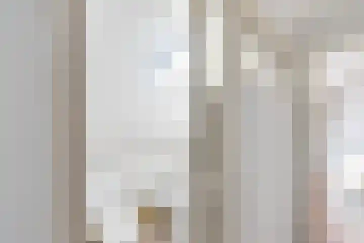 Olivier van Noortstraat 9 C Rotterdam thumbnail 32