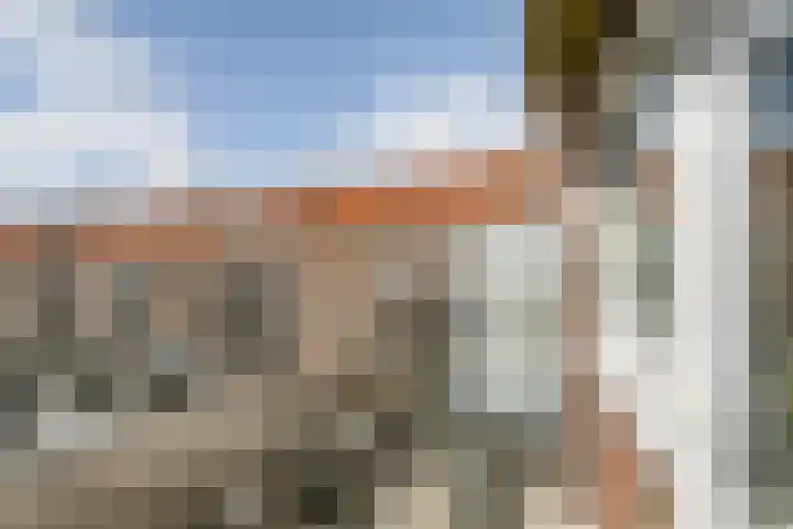 Olivier van Noortstraat 9 C Rotterdam thumbnail 33