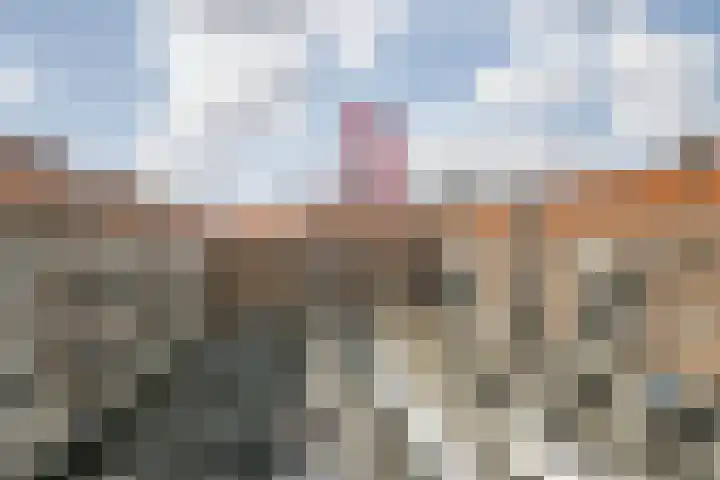 Olivier van Noortstraat 9 C Rotterdam thumbnail 34
