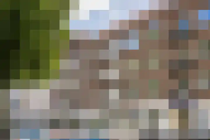 Olivier van Noortstraat 9 C Rotterdam thumbnail 35