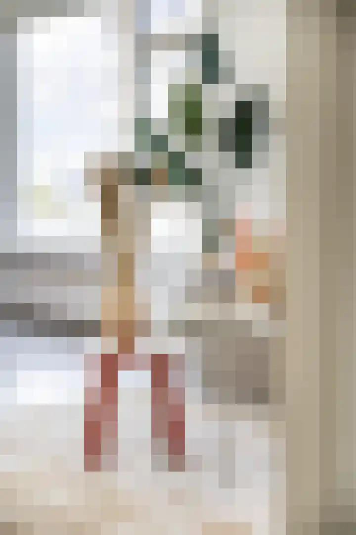 Olivier van Noortstraat 9 C Rotterdam thumbnail 5