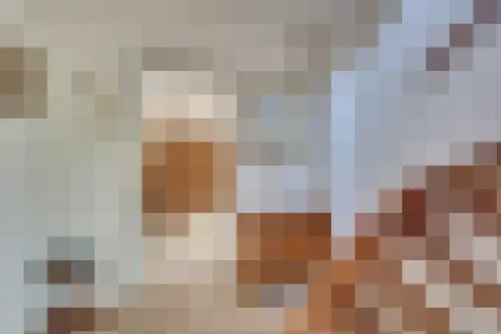 Olivierlaan 15 Eindhoven thumbnail 10