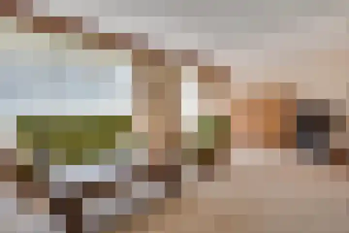 Olivierlaan 15 Eindhoven thumbnail 12