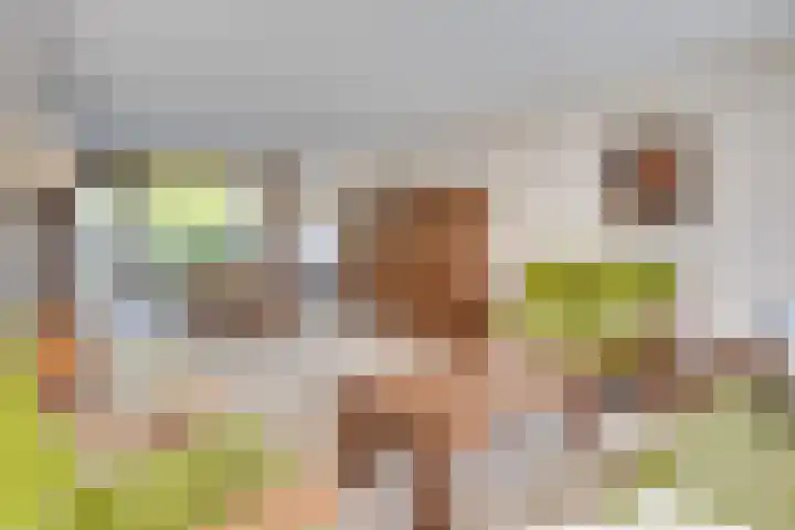Olivierlaan 15 Eindhoven thumbnail 13