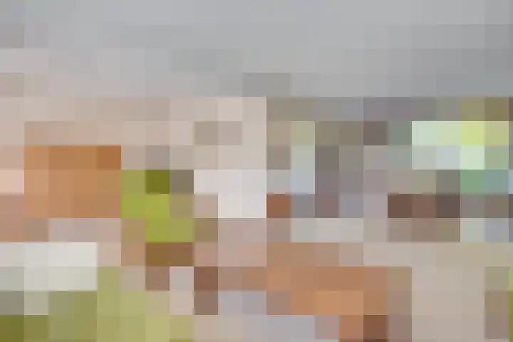 Olivierlaan 15 Eindhoven thumbnail 14