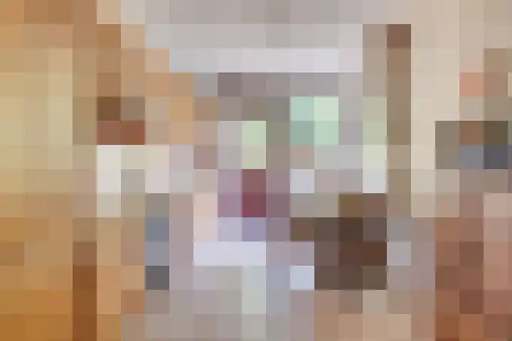 Olivierlaan 15 Eindhoven thumbnail 17