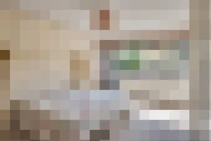 Olivierlaan 15 Eindhoven thumbnail 23