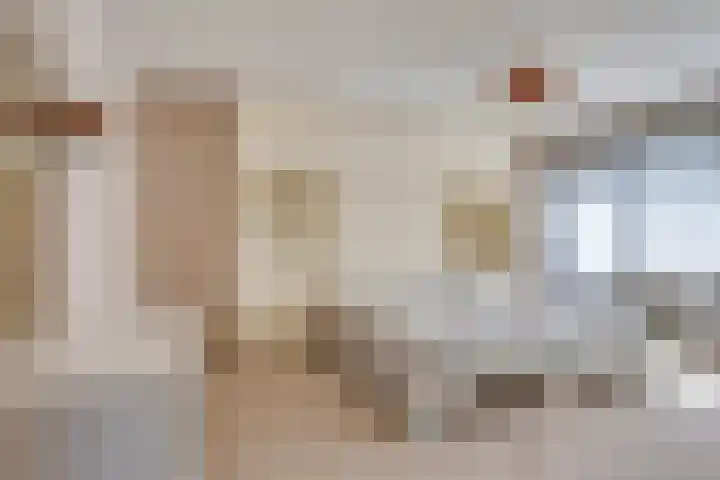 Olivierlaan 15 Eindhoven thumbnail 24