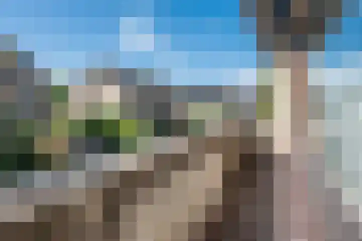 Olivierlaan 15 Eindhoven thumbnail 26
