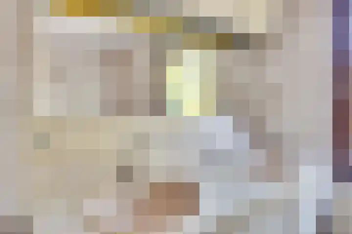 Olivierlaan 15 Eindhoven thumbnail 29