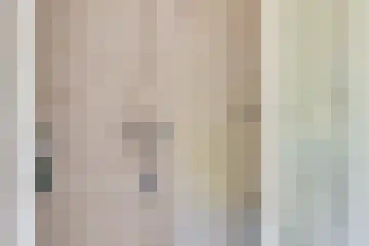 Olivierlaan 15 Eindhoven thumbnail 31