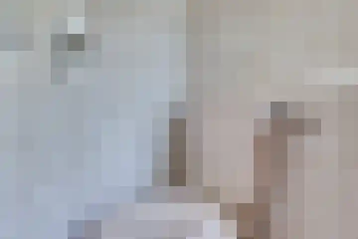 Olivierlaan 15 Eindhoven thumbnail 32