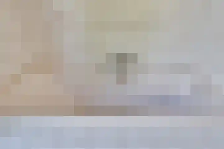 Olivierlaan 15 Eindhoven thumbnail 33