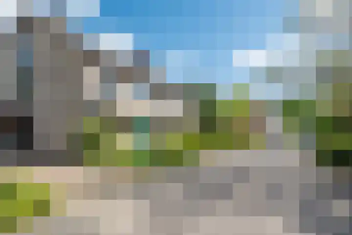 Olivierlaan 15 Eindhoven thumbnail 4