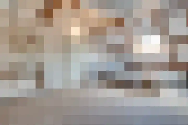 Olivierlaan 15 Eindhoven thumbnail 40