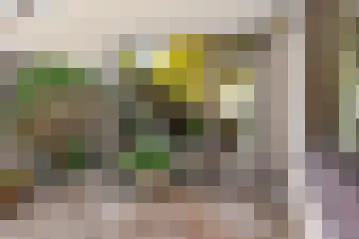 Olivierlaan 15 Eindhoven thumbnail 42