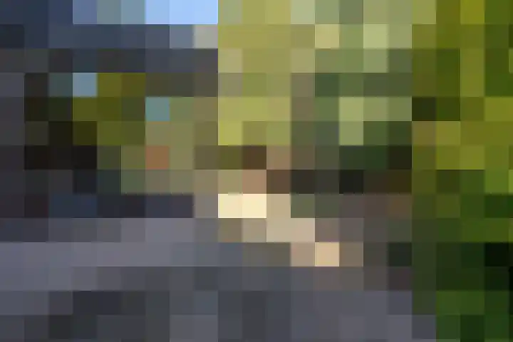 Olivierlaan 15 Eindhoven thumbnail 43